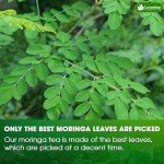 Lavendium 75 Moringa Leaf Herbal Tea Bags