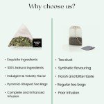 Blendart Moringa Tea Bags – 100 Count Herbal Tea