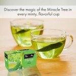 Mint Moringa Oleifera Energy Tea - 25 Bags