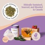 Moringa Wellness Tea - Herbal Digestive Elixir