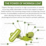 Organic Moringa Capsules 1200mg - Gut Health Boost