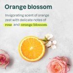 Nourishing Moringa Conditioner for Curly Hair