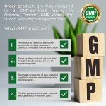 Organic Moringa Leaf Powder - Nutrient-Packed Superfood
