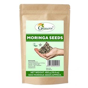 Grenera PKM1 Moringa Seeds - 1300 Count