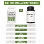 Organic Moringa Capsules 1200mg - Gut Health Boost