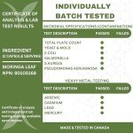 Organic Moringa Capsules 1200mg - Gut Health Boost