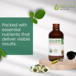 100% Pure Cold Pressed Moringa Oil