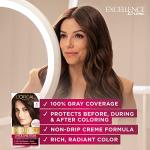 L'Oreal Paris 8.5A Champagne Blonde Hair Color