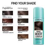 L'Oreal Paris Dark Brown Gray Concealer Spray 2 Oz