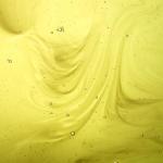 Sunflower Cleansing Oil - Daily Face Cleanser