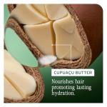 Hydrating Conditioner for Thick, Dry Hair