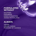 L’Oreal EverPure Purple Shampoo & Conditioner Set