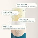 Cliganic USDA Organic Lip Balm - 6 Flavor Moisturizer