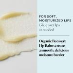 Sky Organics Organic Beeswax Lip Balm Set