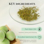 Joseon Green Plum Refreshing Cleanser Gel 100ml