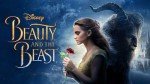 Organic Beauty & the Beast Makeup Set