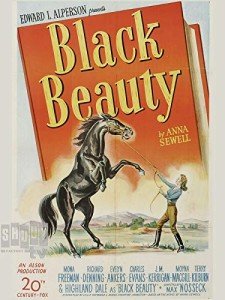 Radiant Organic Black Beauty Makeup Set