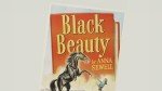 Radiant Organic Black Beauty Makeup Set
