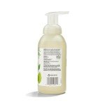 Mint Garden Foaming Hand Soap, 12 Fl Oz