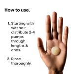 L'Oréal Absolut Repair Shampoo for Dry Hair