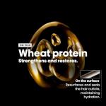 L'Oréal Absolut Repair Shampoo for Dry Hair