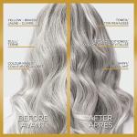 L'Oreal Paris One Step Silver Hair Gloss