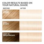 L'Oreal Feria Extreme Platinum Hair Color Dye