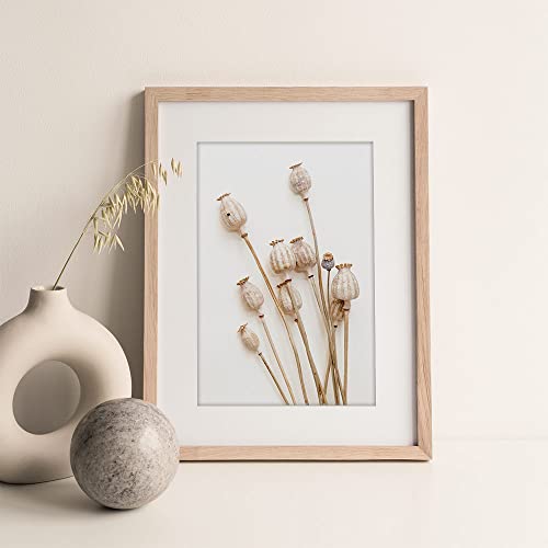 Botanical Wall Art Set of 6 Prints