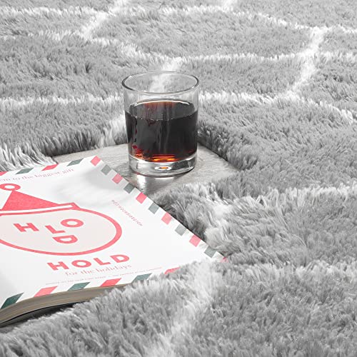 Light Grey Fuzzy Shag Area Rug 6x9