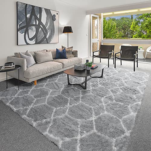 Light Grey Fuzzy Shag Area Rug 6x9