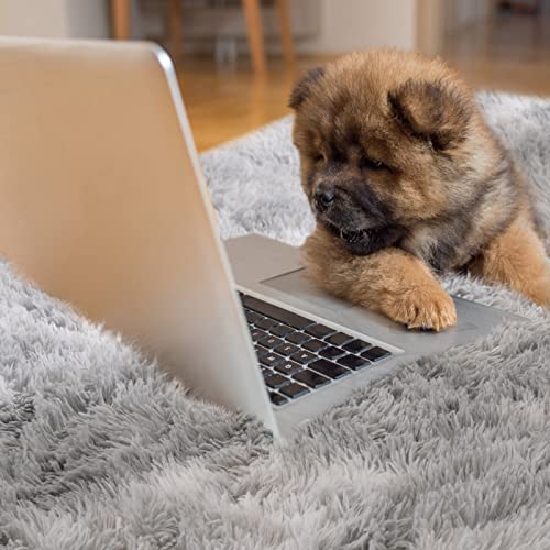 YoRango Light Grey Tie-Dyed Area Rug, 8' x 10