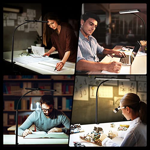 ZASTION LED Desk Lamp with Clamp and Gooseneck