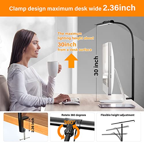 ZASTION LED Desk Lamp with Clamp and Gooseneck