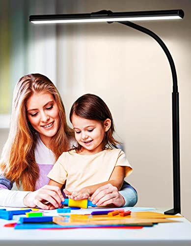 ZASTION LED Desk Lamp with Clamp and Gooseneck