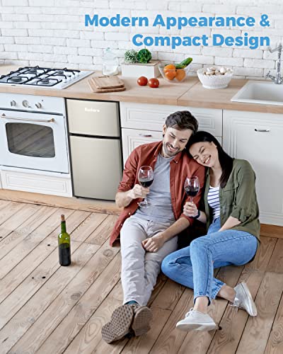 Bodare Space-Saving Mini Refrigerator