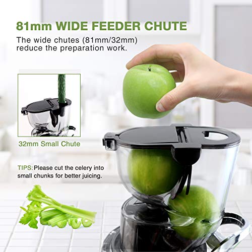 Aeitto Quiet Slow Juicer with 81mm Chute