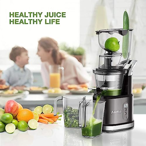 Aeitto Quiet Slow Juicer with 81mm Chute