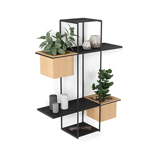 Umbra Cubist Multi Floating Succulent Wall Planter