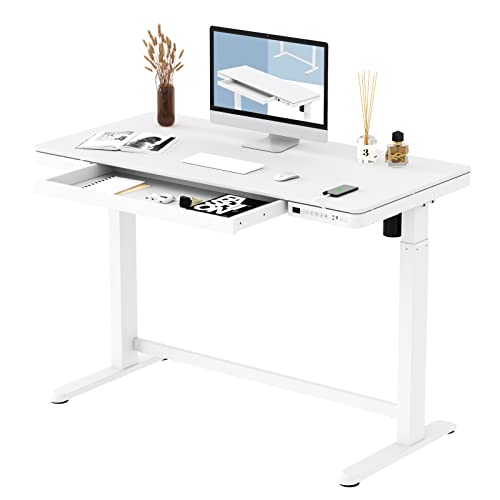 FLEXISPOT Electric Standing Desk with Drawer and USB Ports