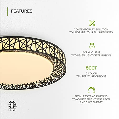 ASD 20 Inch LED Flush Mount Ceiling Light Fixture - Modern Black Close to Ceiling Light Fixtures 42W 2475LM, 2700-5000K Adjustable Dimmable Low Profile Lights for Kitchen, Bedroom, Hallway, ETL
