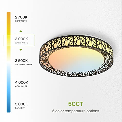 ASD 20 Inch LED Flush Mount Ceiling Light Fixture - Modern Black Close to Ceiling Light Fixtures 42W 2475LM, 2700-5000K Adjustable Dimmable Low Profile Lights for Kitchen, Bedroom, Hallway, ETL