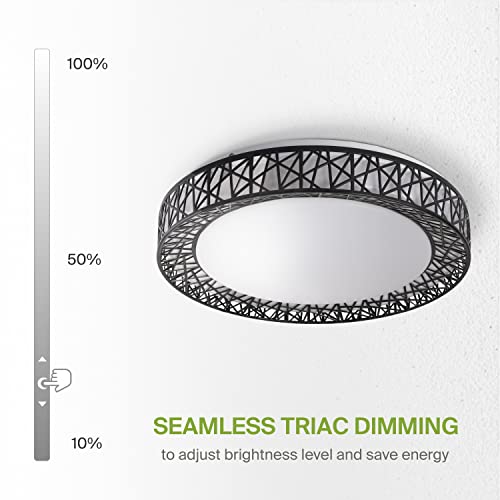 ASD 20 Inch LED Flush Mount Ceiling Light Fixture - Modern Black Close to Ceiling Light Fixtures 42W 2475LM, 2700-5000K Adjustable Dimmable Low Profile Lights for Kitchen, Bedroom, Hallway, ETL