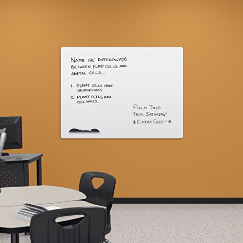 Best-Rite Elemental Magnetic Dry Erase Whiteboard Peel-n-Stick Skin, 3 x 4 Feet, White (208JC-25)
