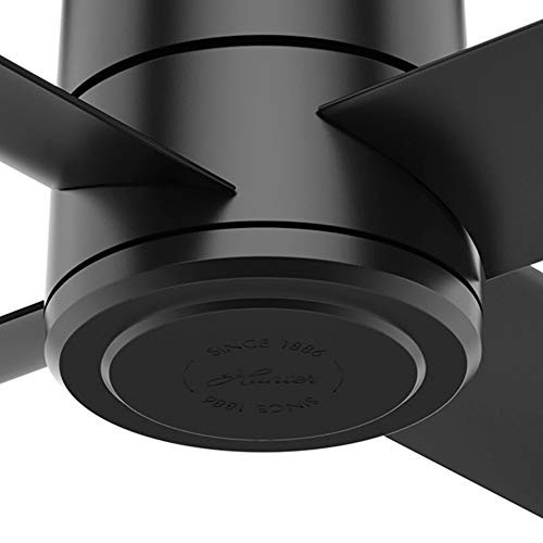 Hunter Fan Company, 76015, 72 inch Trak Black Indoor / Outdoor Commercial Ceiling Fan and Wall Control