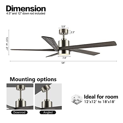 WINGBO 54 Inch DC Ceiling Fan with Lights and Remote Control, 5 Reversible Carved Wood Blades, 6-Speed Noiseless DC Motor, Modern Ceiling Fan in Brushed Nickel Finish with Gray Blades, ETL Listed