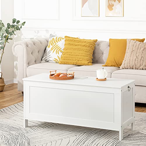 HOOBRO Storage Chest, Retro Toy Box Organizer with Safety Hinge, 39.4 x 15.7 x 18.9 Inches, Sturdy Entryway Storage Bench, Wooden Look Accent Furniture, Easy Assembly, White WT100CW01