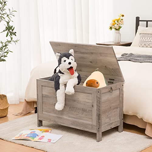 HOOBRO Storage Chest, Retro Toy Box Organizer with Safety Hinge, Sturdy Entryway Storage Bench, Wooden Look Accent Furniture, Easy Assembly, Greige BG75CW01G1