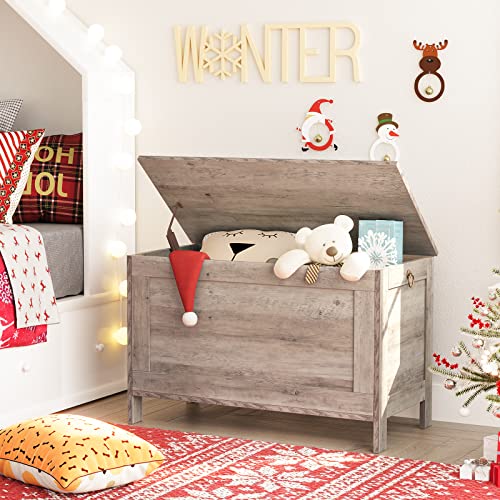 HOOBRO Storage Chest, Retro Toy Box Organizer with Safety Hinge, Sturdy Entryway Storage Bench, Wooden Look Accent Furniture, Easy Assembly, Greige BG75CW01G1
