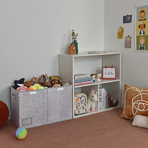 GRANNY SAYS Extra Large Storage Boxes with Lid, Toy Chests & Organizers, Bin Storage Organizer, Dust-proof Storage Container, Gray Storage Bins with Lid for Organizing Closet Shelves, 1-Pack