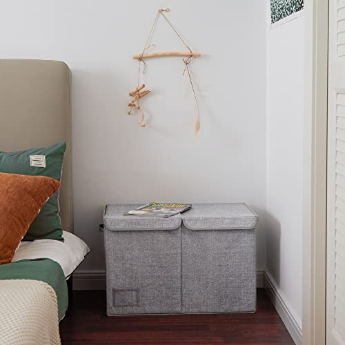 GRANNY SAYS Extra Large Storage Boxes with Lid, Toy Chests & Organizers, Bin Storage Organizer, Dust-proof Storage Container, Gray Storage Bins with Lid for Organizing Closet Shelves, 1-Pack
